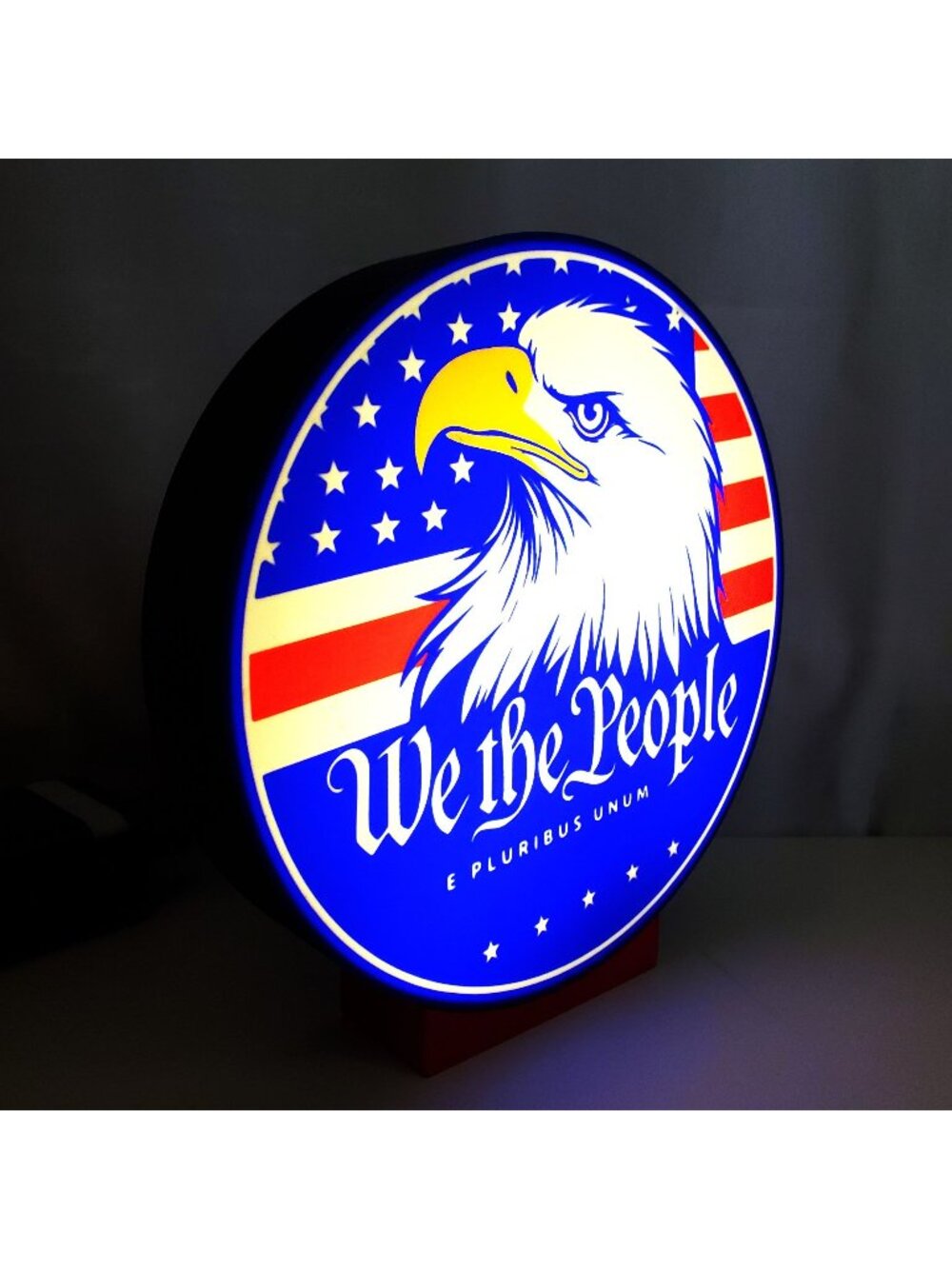 "We the People" Patriotic American Eagle LED Lighted Sign – 9" USB-Powered – Mad